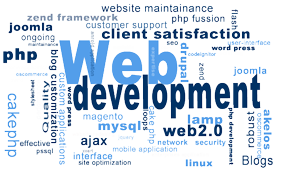 Popularity of Web Development 